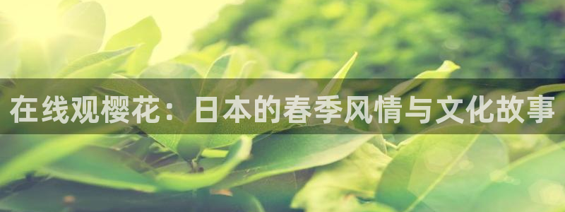 星空电影高清在线观看免费