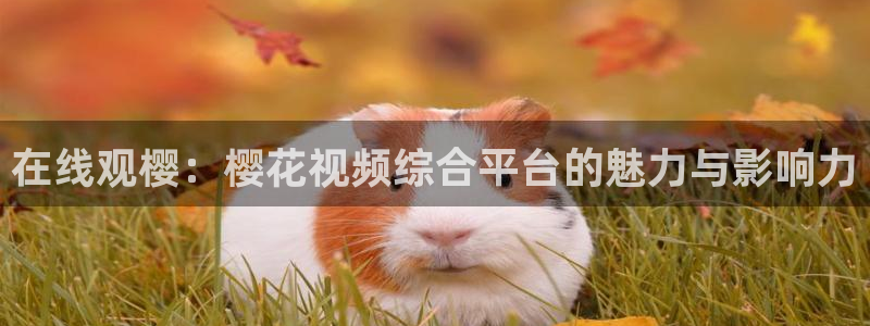 我们的日子精东影业