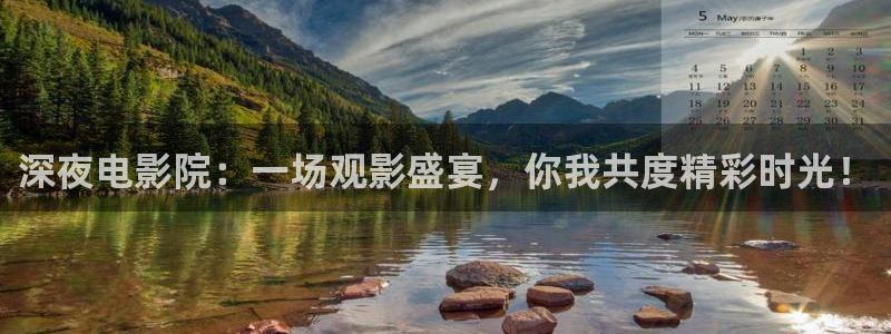 星空影视大全免费版官网