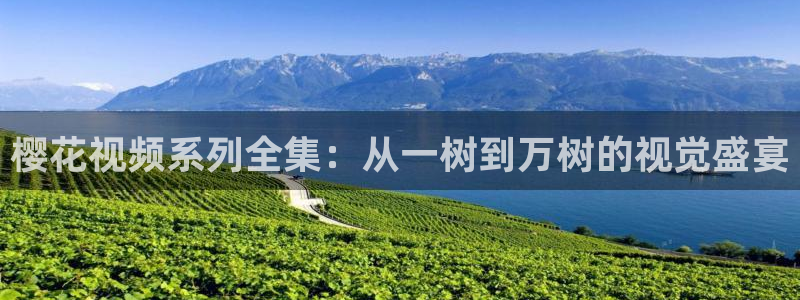 精东影业在线观看免费观看电视