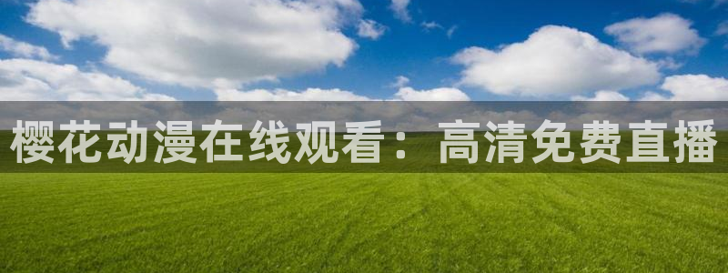 星空mv视频免费观看