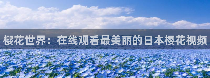 星空影视视频大全在线观看