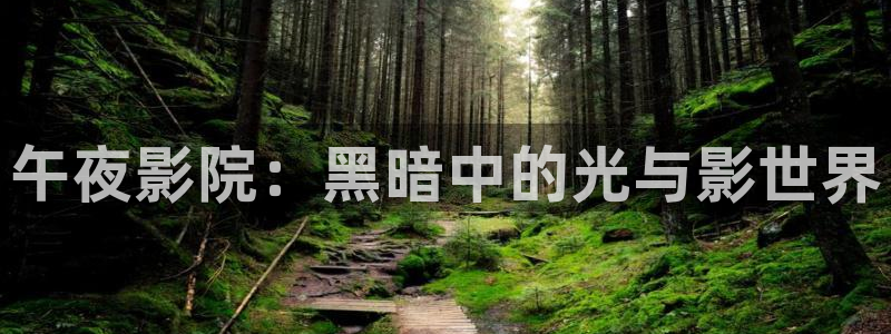 星空播剧