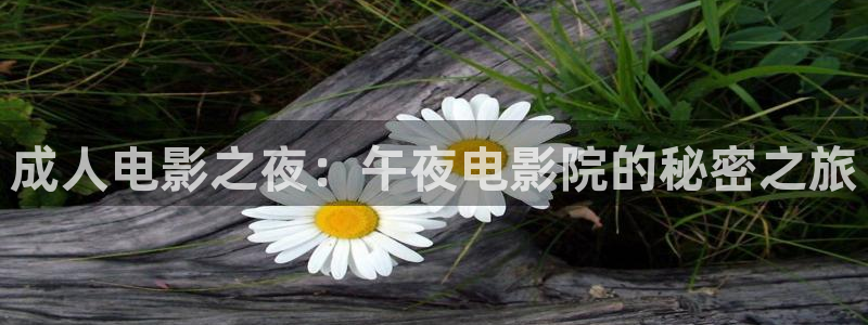 精东影业免费观看电视剧在线播放