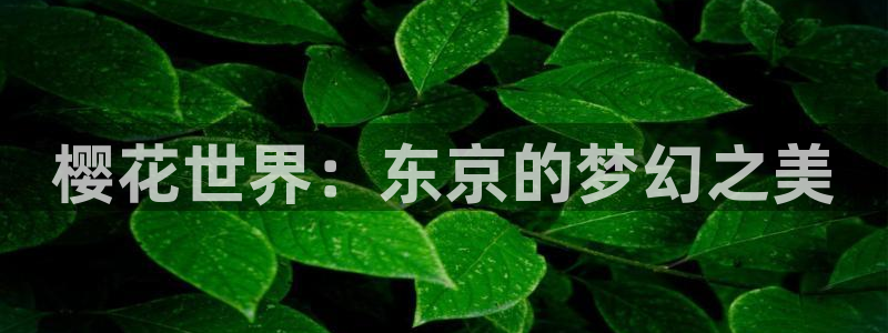星空影视剧