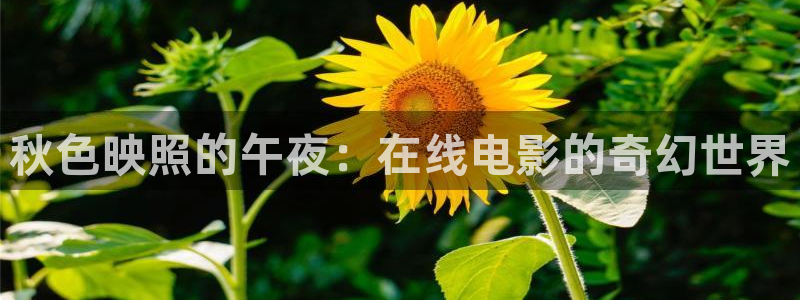 精东影业免费观看电视剧电影最新合