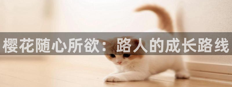 电影星空简介