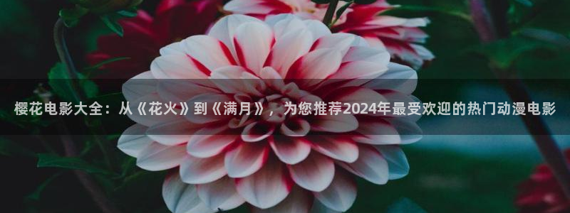 精东影业免费观看全集