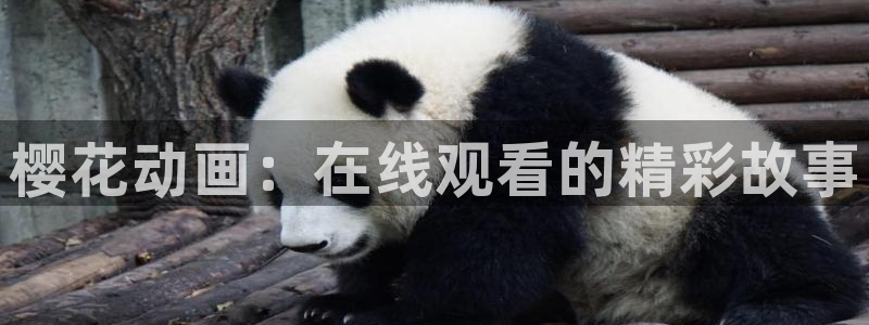 精东影业电视剧在线播放免费观看资源