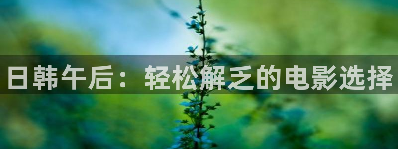 星空影视在线观看免费完整版