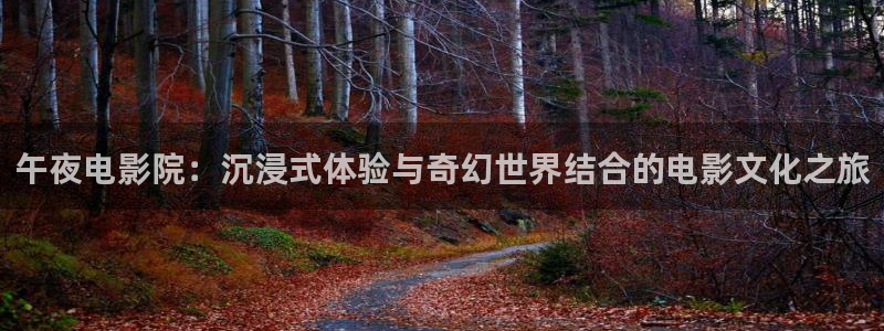 郑州星空影城