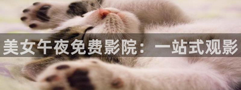 精东影业免费观看电影2023