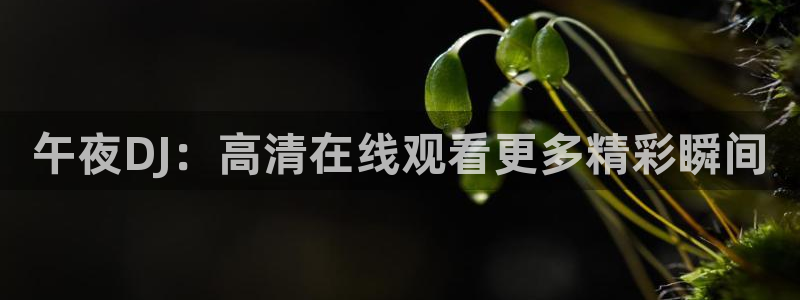 精东影业免