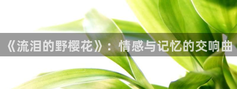 星空策驰影院在线观看