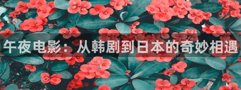 精东影业电视免费播放下载