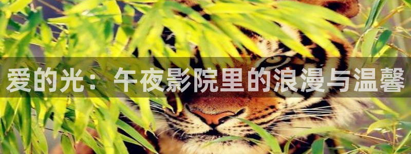 星空影视剧网站大全