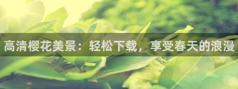星空天美免费观看高清