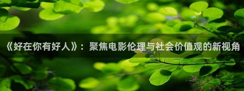 精东影业在线观看星辰